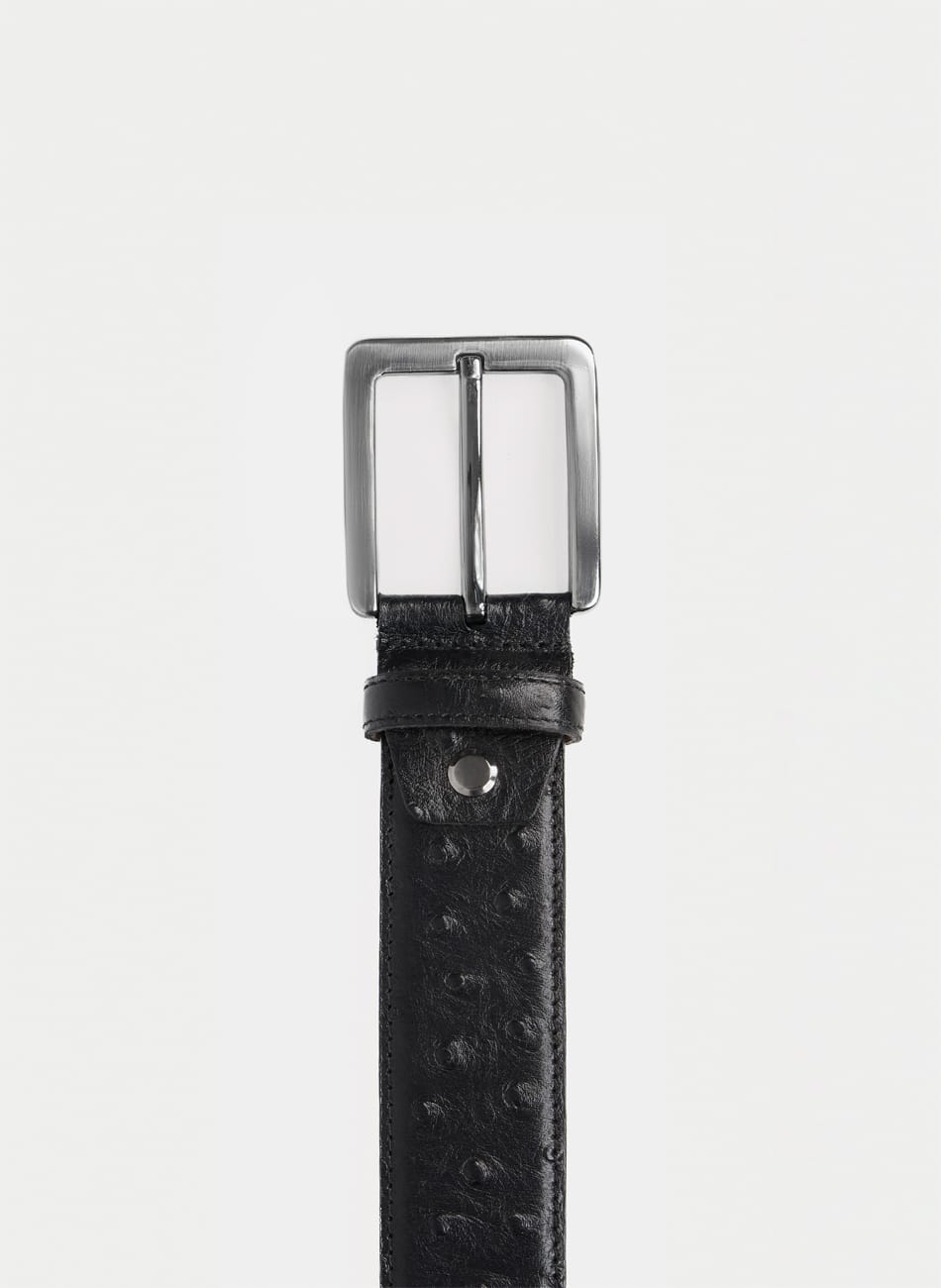 DOTS BELT