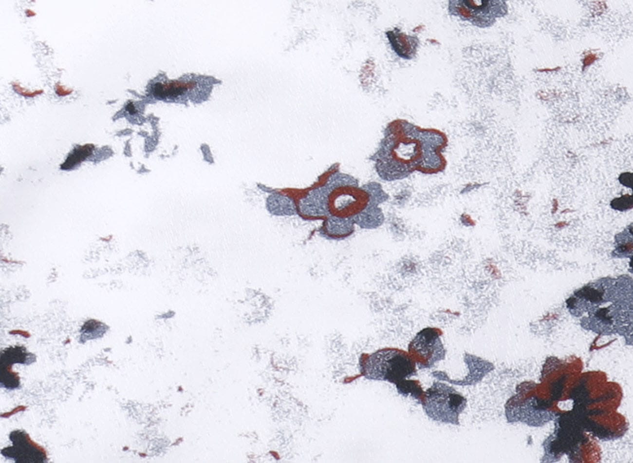 Image of floral pattern Poplin Shirt