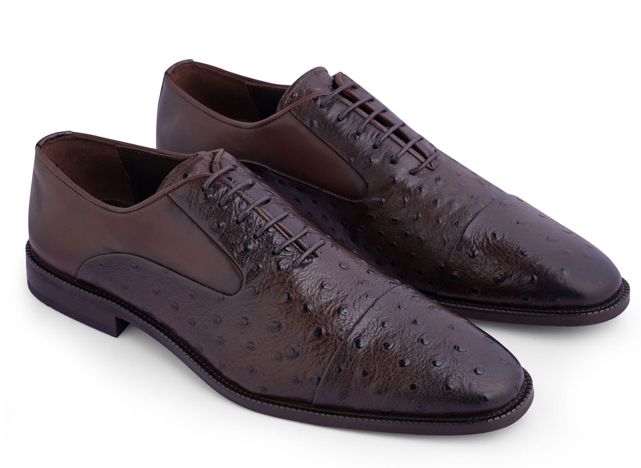 Ostrich Oxford shoes