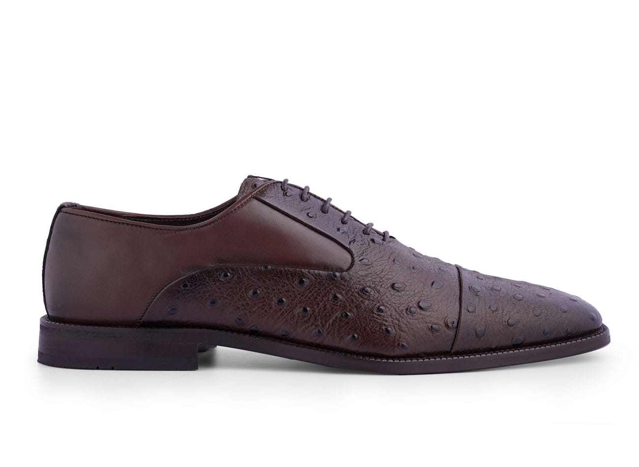 Ostrich Oxford shoes