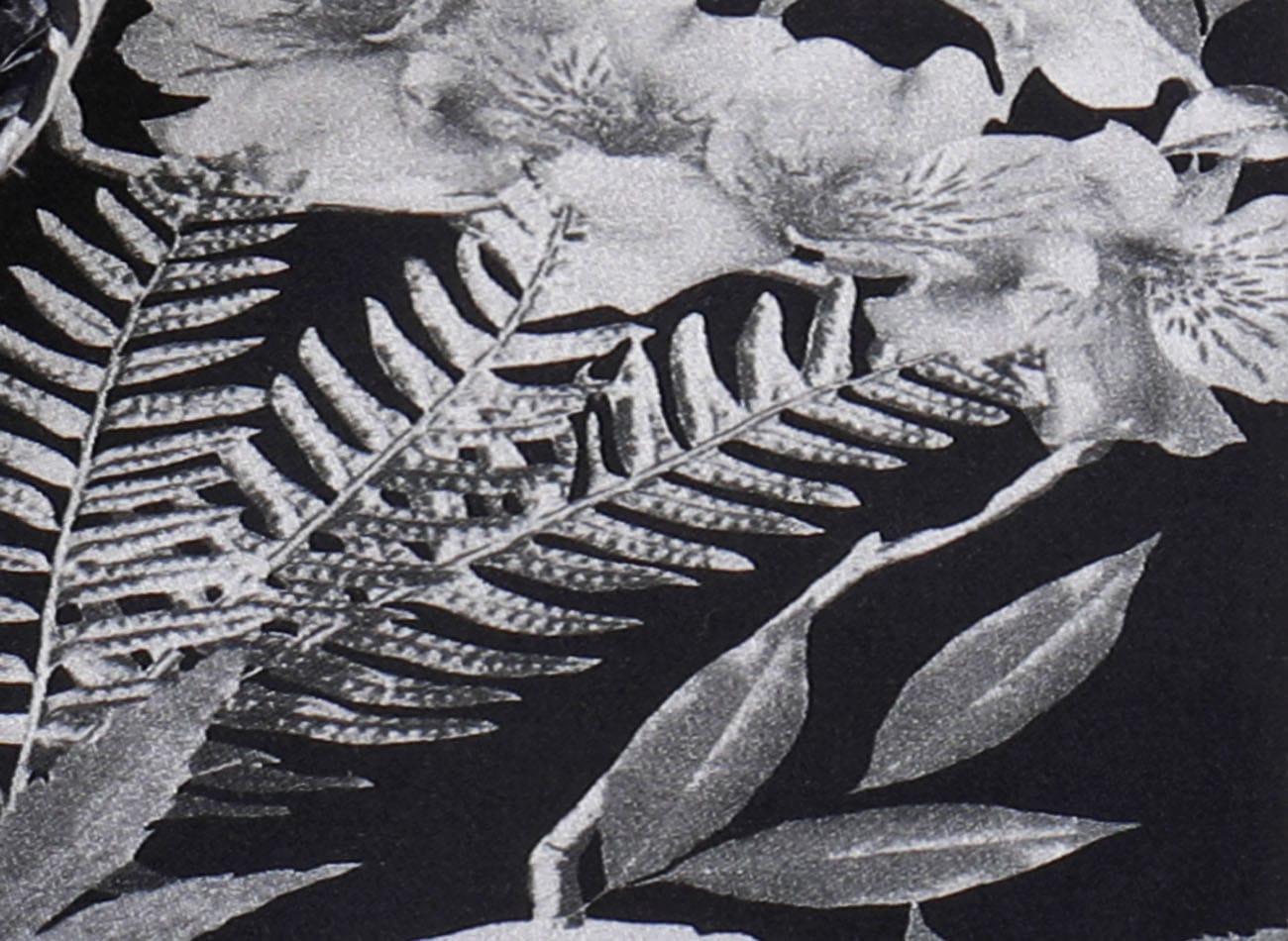 Image of floral leaf pattern Poplin Shirt