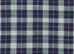 Image of Gingham Checked Poplin Shirt